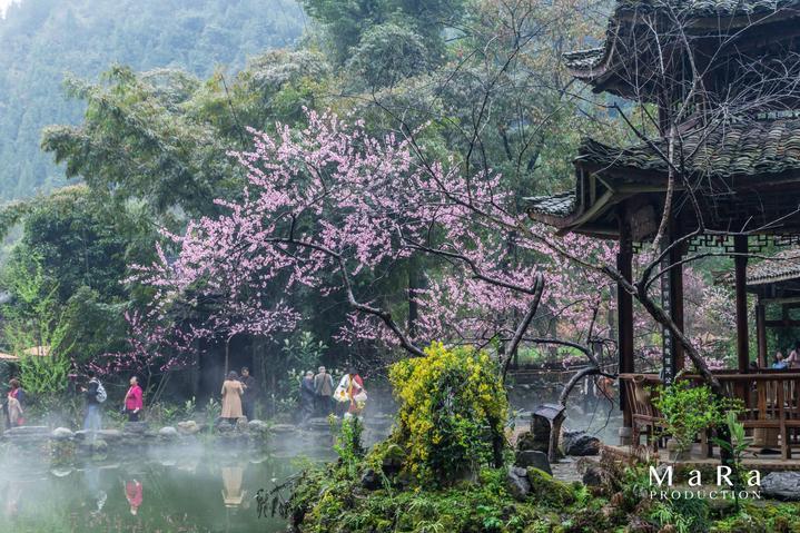 男票总是跟我讲道理，怎么办？游戏画面