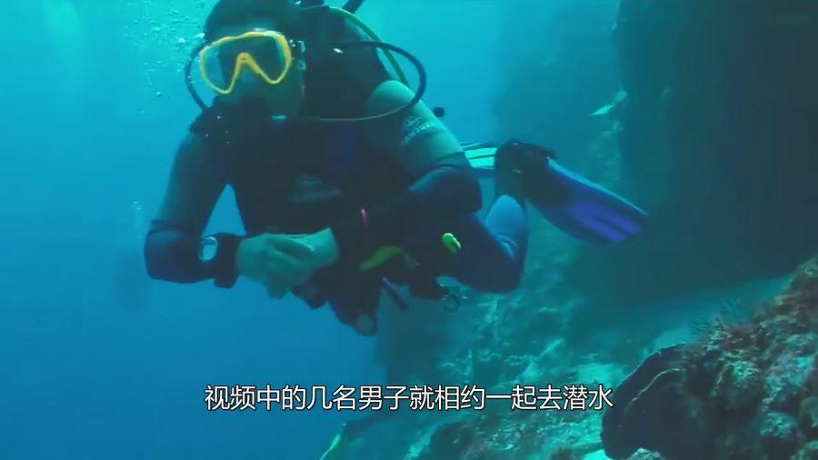 坦克大乱斗