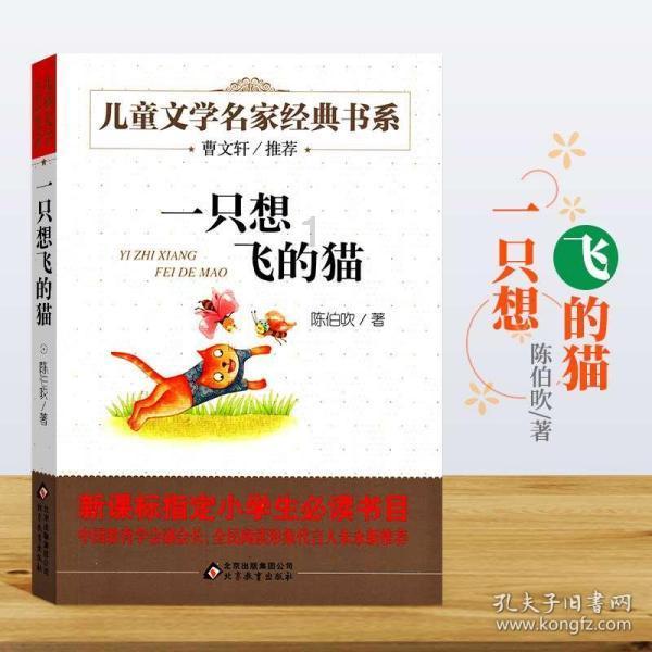 逃离幻想金字塔